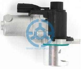 Exhaust Gas Recirculation Valve