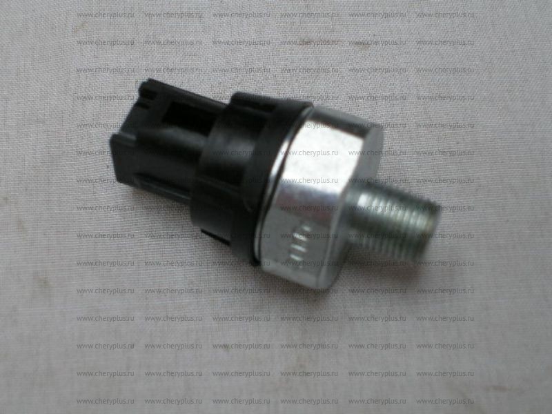 Oil Plug