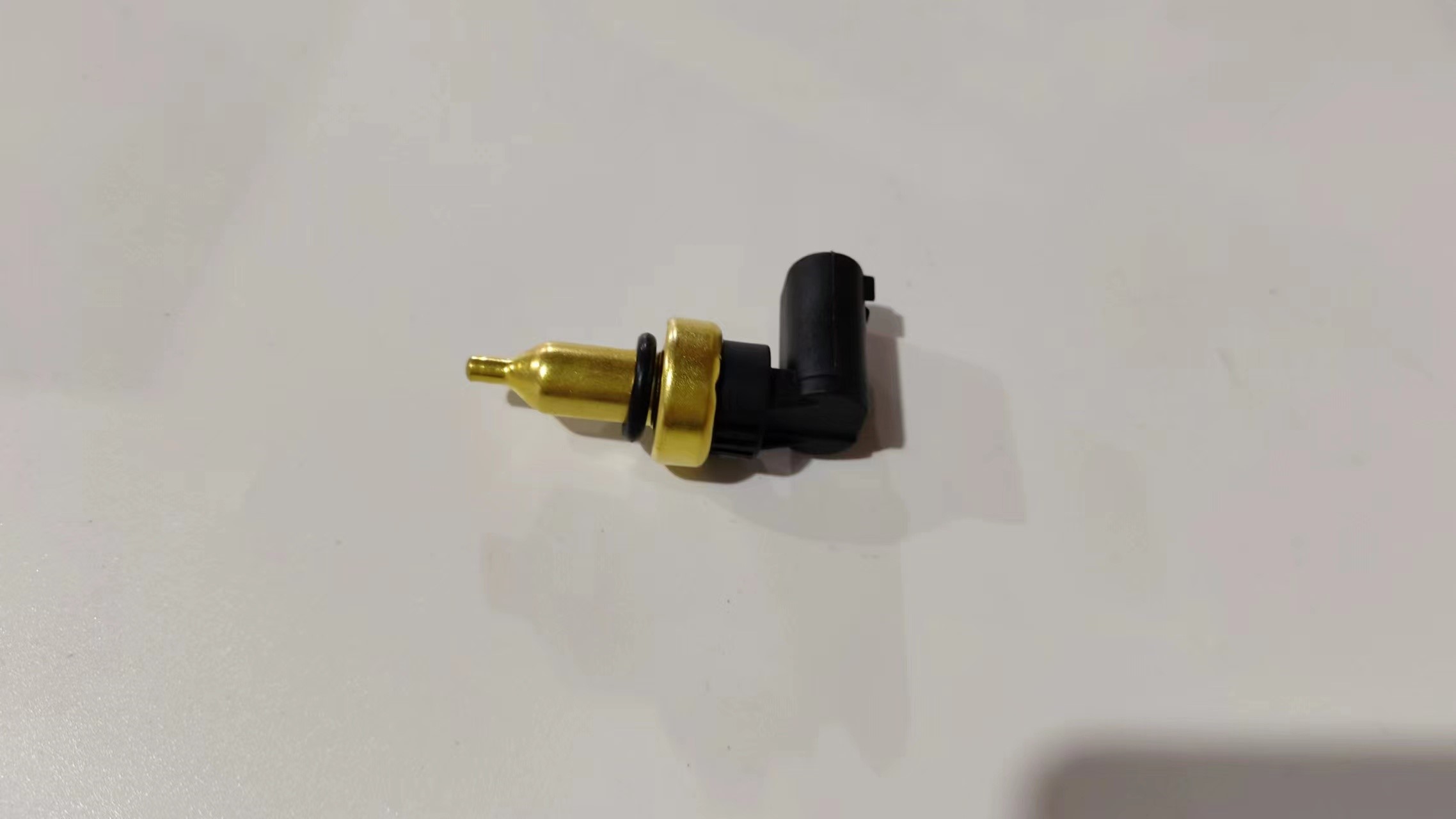 Water Temperature Sensor