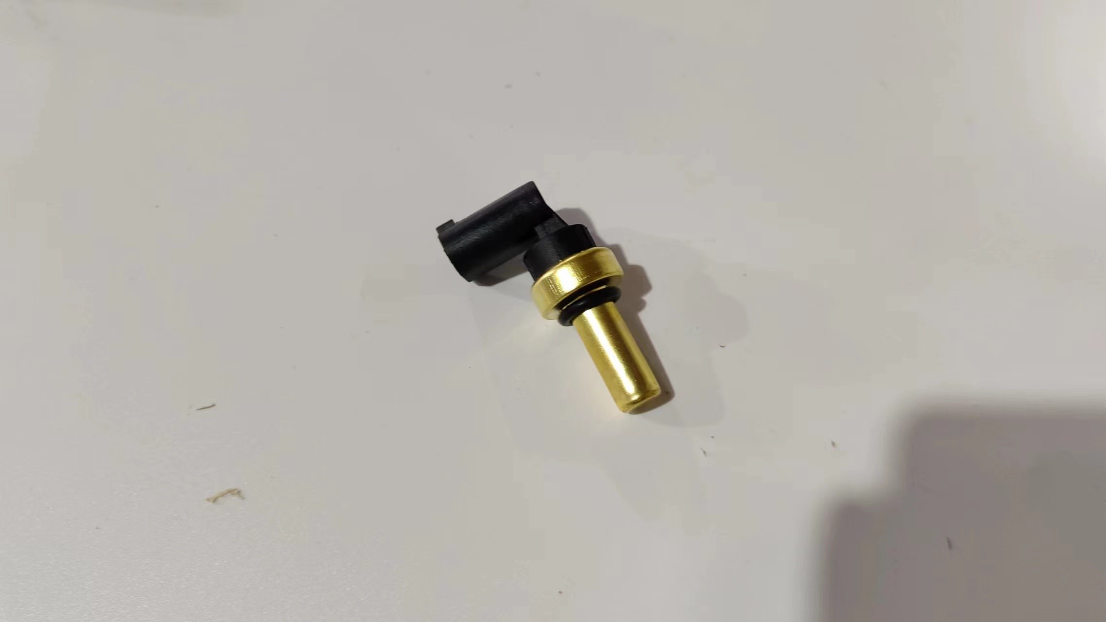 Water Temperature Sensor