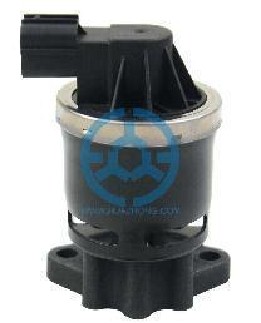 Exhaust Gas Recirculation Valve