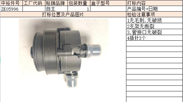 Auxiliary Water Pump