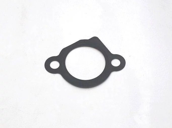 Timing Chain Tensioner Gasket