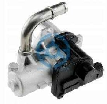 Exhaust Gas Recirculation Valve