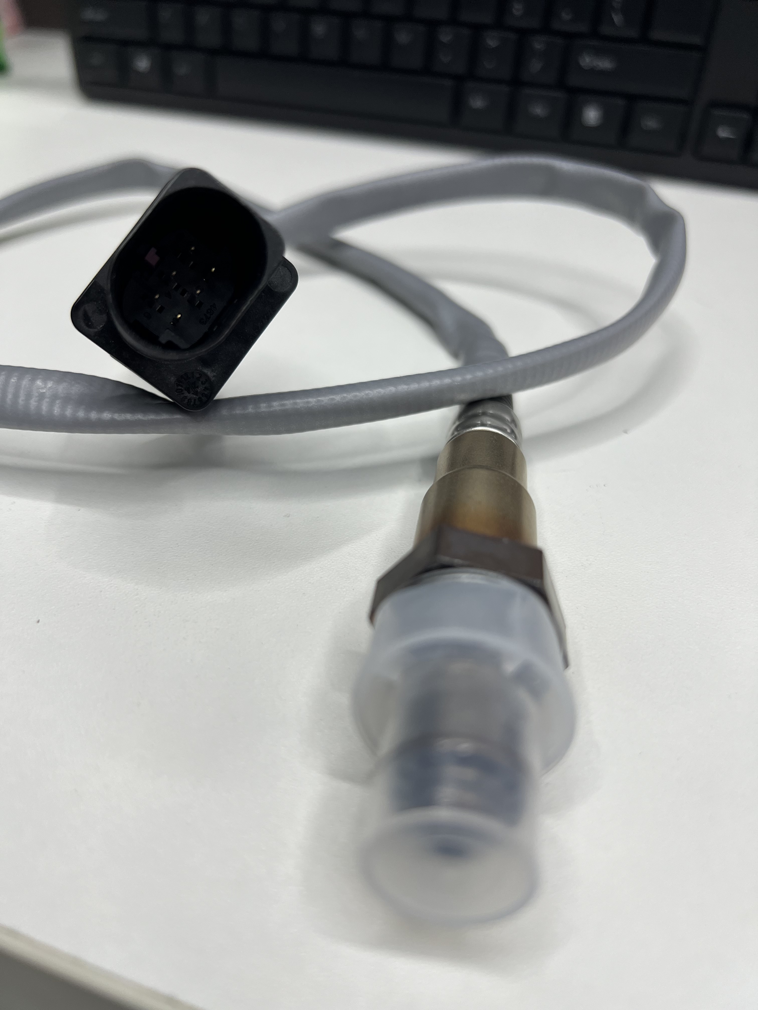 Oxygen Sensor