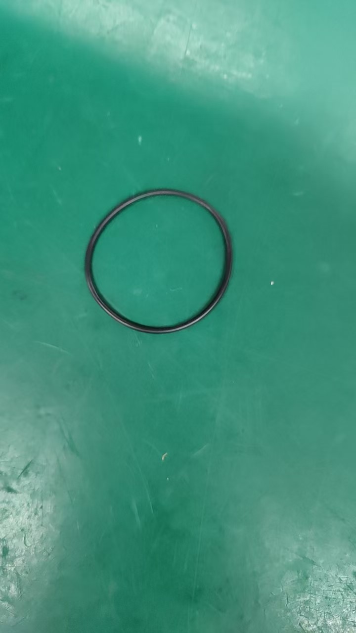 Thermostat Rubber Ring