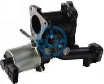 Exhaust Gas Recirculation Valve