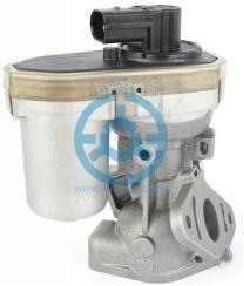 Exhaust Gas Recirculation Valve