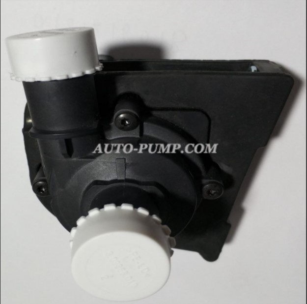 Auxiliary Water Pump