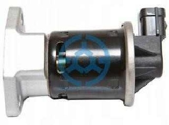 Exhaust Gas Recirculation Valve