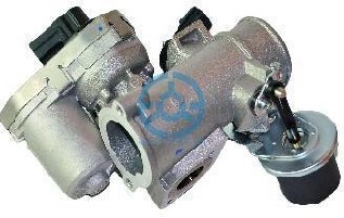 Exhaust Gas Recirculation Valve