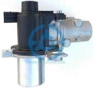 Exhaust Gas Recirculation Valve