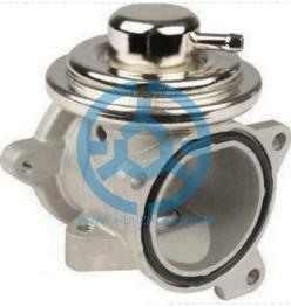 Exhaust Gas Recirculation Valve