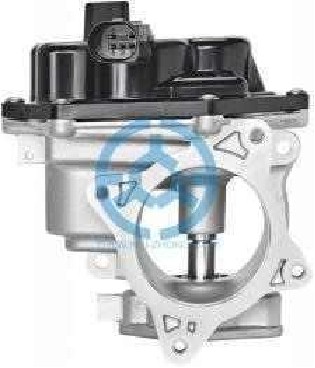 Exhaust Gas Recirculation Valve