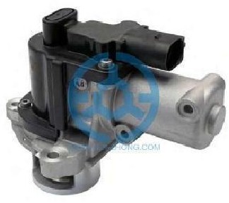 Exhaust Gas Recirculation Valve