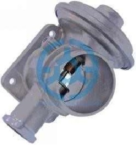 Exhaust Gas Recirculation Valve