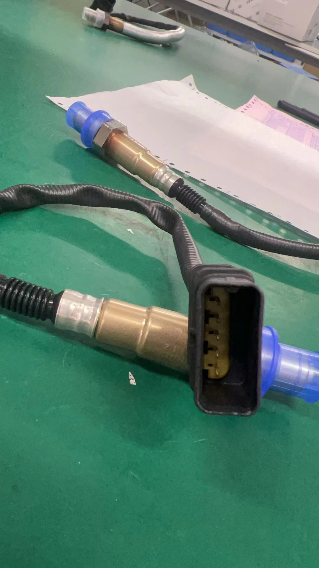 Oxygen Sensor