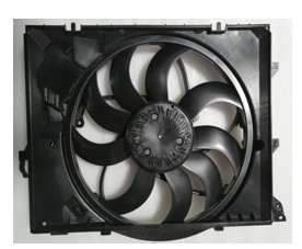 Radiator Fan