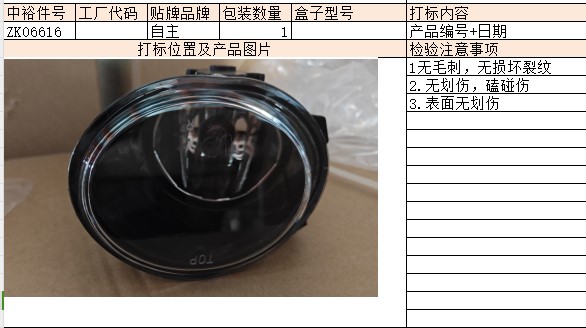 Right Front Fog Lamp