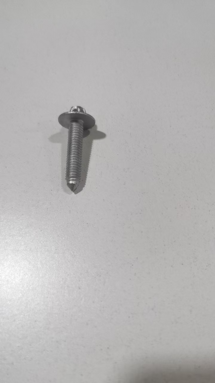 Engine Oil Pan Screw