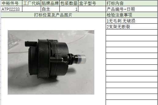 Auxiliary Water Pump