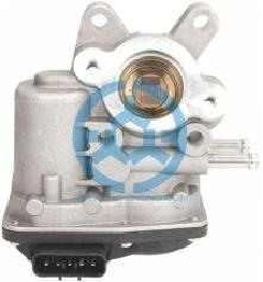 Exhaust Gas Recirculation Valve