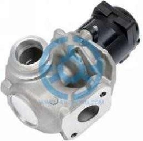 Exhaust Gas Recirculation Valve