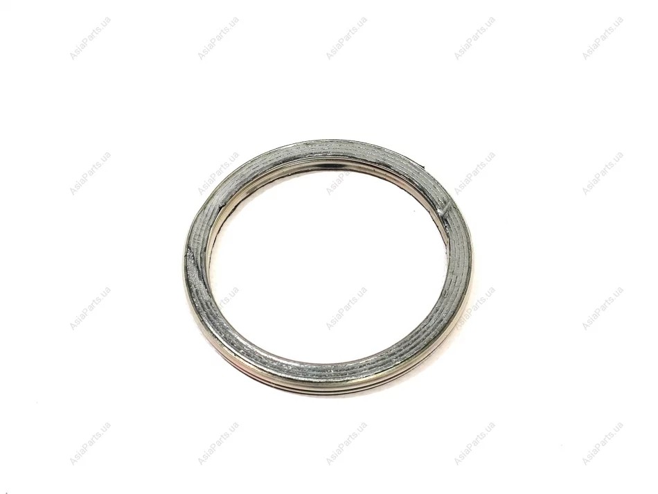 Exhaust Pipe Gasket