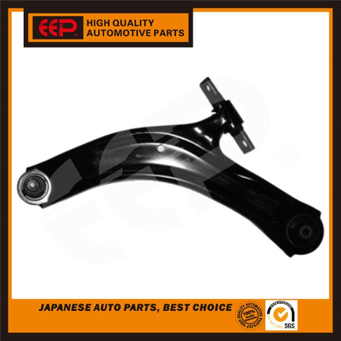 Left Front Swing Arm