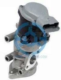 Exhaust Gas Recirculation Valve