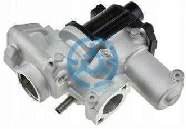 Exhaust Gas Recirculation Valve