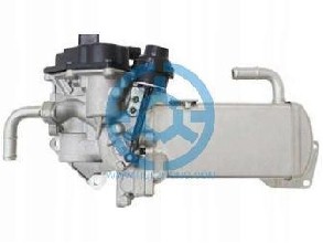 Exhaust Gas Recirculation Valve