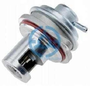 Exhaust Gas Recirculation Valve