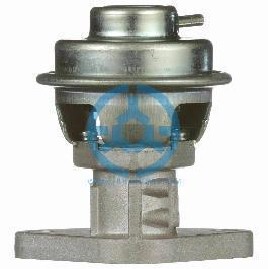 Exhaust Gas Recirculation Valve