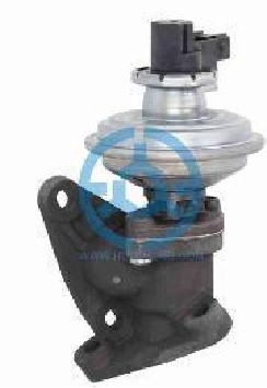 Exhaust Gas Recirculation Valve