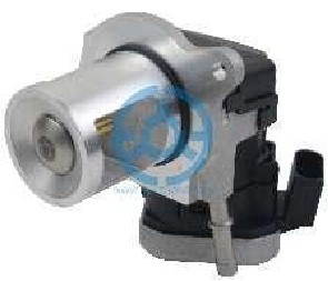 Exhaust Gas Recirculation Valve