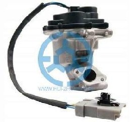 Exhaust Gas Recirculation Valve