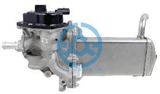 Exhaust Gas Recirculation Valve