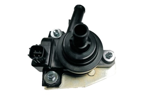 Auxiliary Water Pump