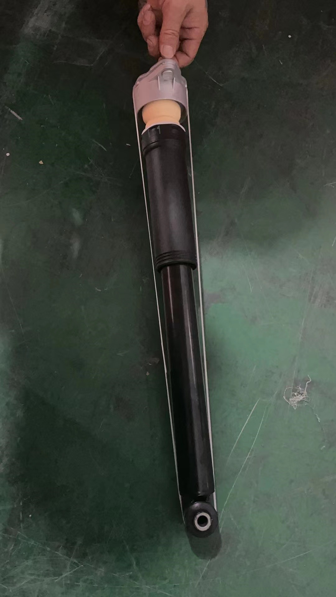 Rear Shock Absorber Assembly