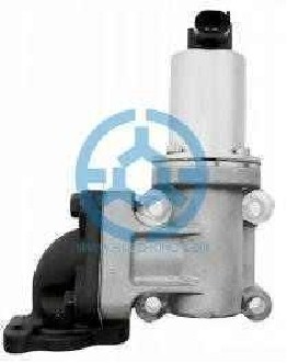 Exhaust Gas Recirculation Valve