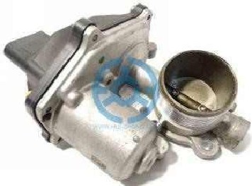 Exhaust Gas Recirculation Valve