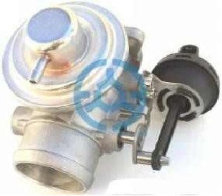 Exhaust Gas Recirculation Valve