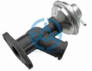 Exhaust Gas Recirculation Valve