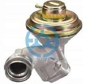 Exhaust Gas Recirculation Valve