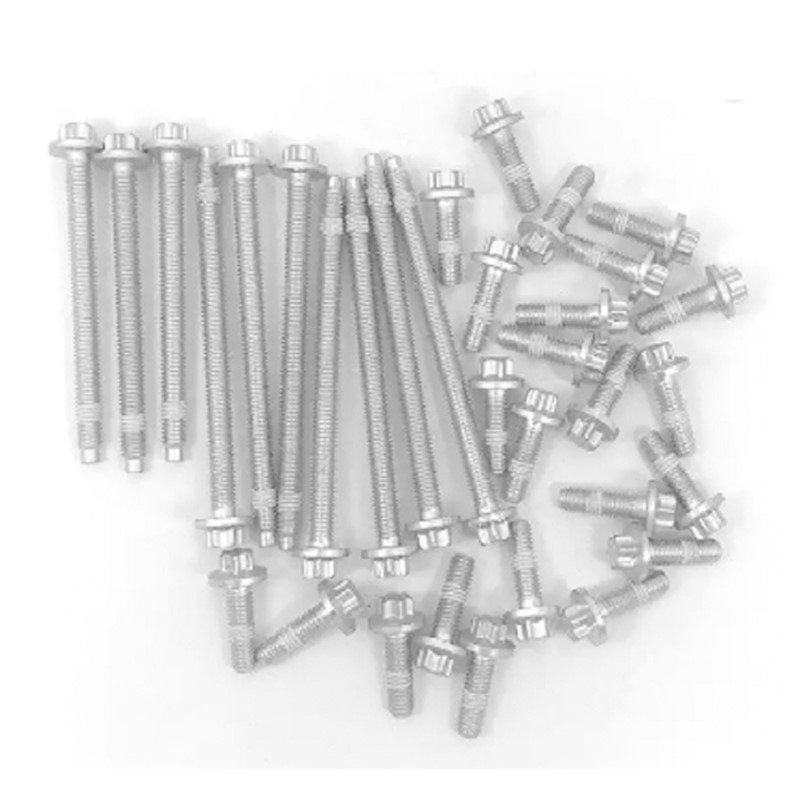 Oil Pan Screws (33Indivual)