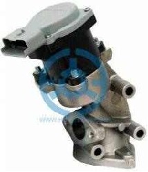 Exhaust Gas Recirculation Valve