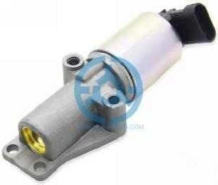 Exhaust Gas Recirculation Valve