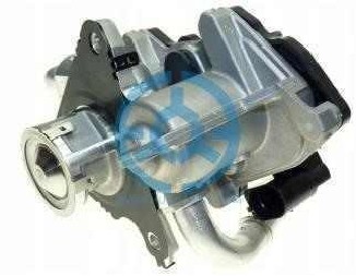 Exhaust Gas Recirculation Valve