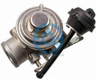 Exhaust Gas Recirculation Valve